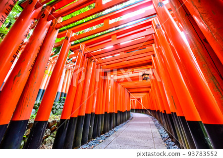 Kyoto Fushimi Inari, famous for its torii gates Kyoto Fushimi Inari, famous for its torii gates 93783552