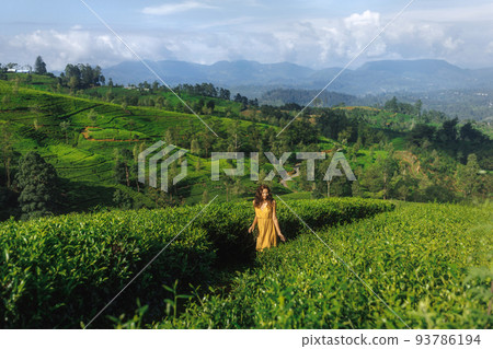 Woman Traveler Walk Against Tea Plantations Landscape Background 93786194