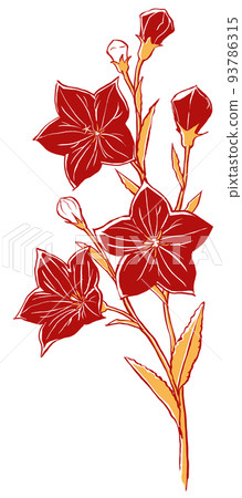 A single bellflower with flowers and buds drawn with a brush and painted in two colors A single bellflower with flowers and buds drawn with a brush and painted in two colors 93786315