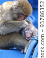 野生猴家族 93786352