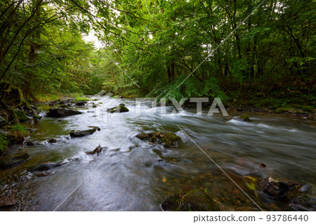 Yukawa, Karuizawa Town / mountain stream / clear stream 93786440