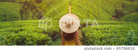 Woman Traveler in Front of Nature Background Tea Plantations Landscape in Sri Lanka Woman Traveler in Front of Nature Background Tea Plantations Landscape in Sri Lanka 93786658