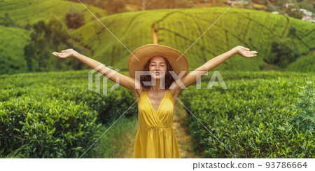 Woman Traveler in Front of Nature Background Tea Plantations Landscape in Sri Lanka 93786664