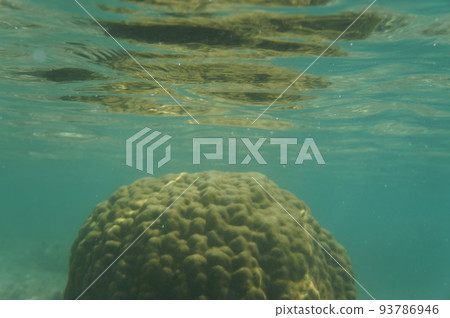 Coral reefs in Okinawa Coral reefs in Okinawa 93786946