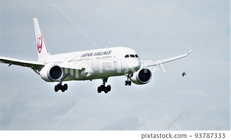 一架 B787 即將降落,一隻鳥飛過行進方向 一架 B787 即將降落,一隻鳥飛過行進方向 93787333