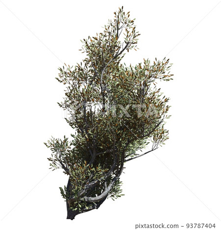 Fantasy tree 3d illustration isolated on white background Fantasy tree 3d illustration isolated on white background 93787404