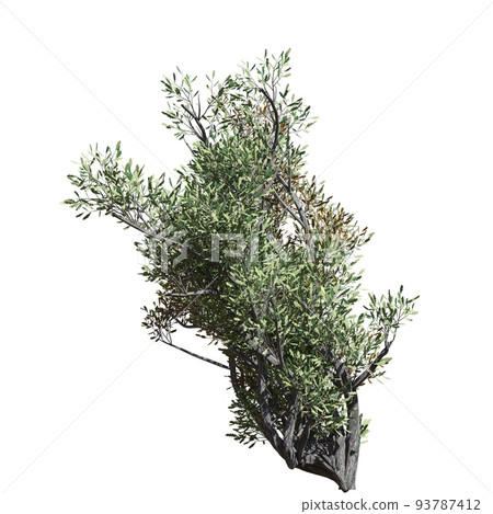 Fantasy tree 3d illustration isolated on white background 93787412