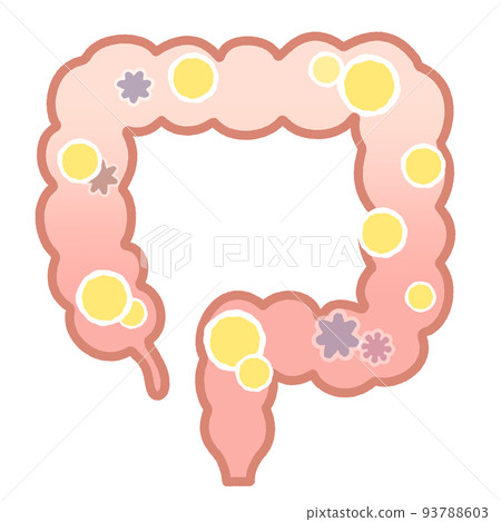 Colon with lots of good bacteria 93788603