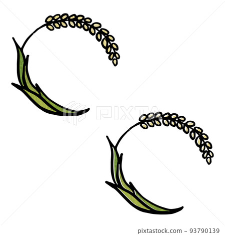 Rice frame illustration with copy space Rice frame illustration with copy space 93790139