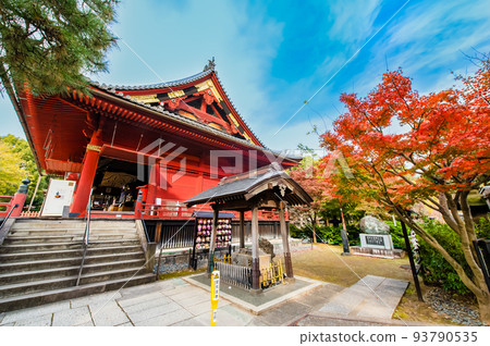 Ueno, Tokyo ~Kiyomizu Kannondo of Kaneiji Temple dyed in autumn leaves~ 93790535