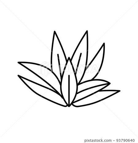 cryptocoryne wendttii line icon vector illustration 93790640