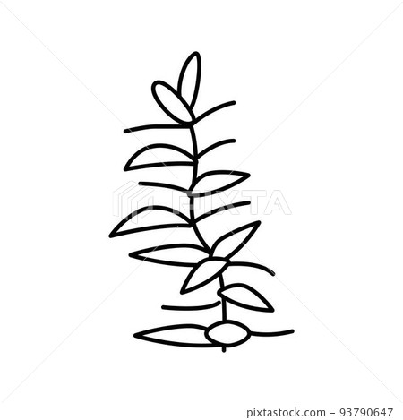 hydrophilia polyspermy line icon vector illustration 93790647