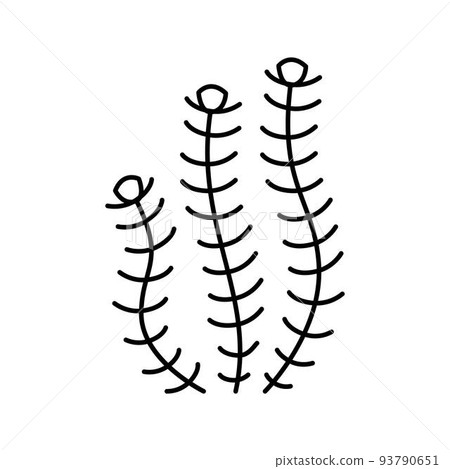 hornwort marine seaweed line icon vector illustration hornwort marine seaweed line icon vector illustration 93790651