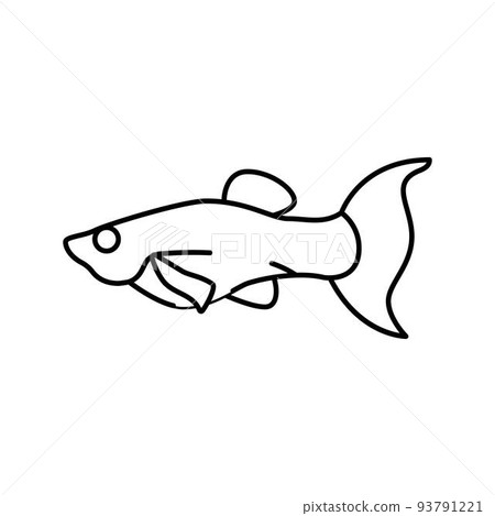 molly fish line icon vector illustration molly fish line icon vector illustration 93791221