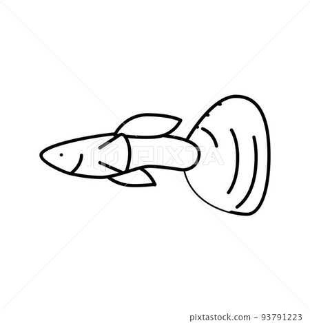 guppy fish line icon vector illustration guppy fish line icon vector illustration 93791223