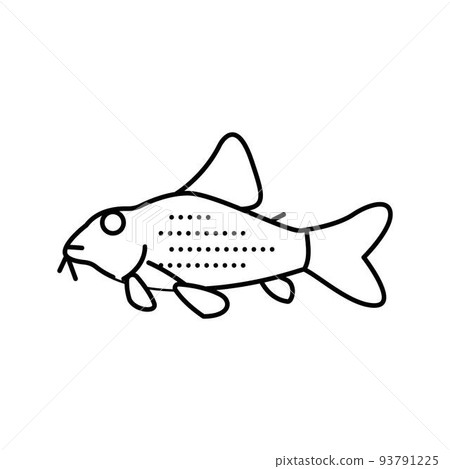 cory catfish line icon vector illustration cory catfish line icon vector illustration 93791225