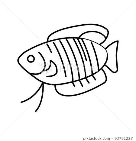 gourami fish line icon vector illustration gourami fish line icon vector illustration 93791227