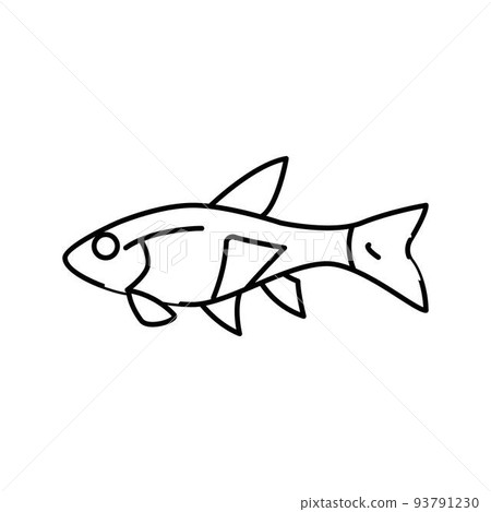 rasbora fish line icon vector illustration rasbora fish line icon vector illustration 93791230