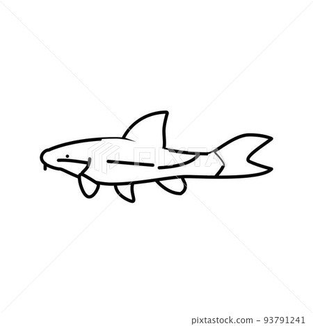 otocinclus fish line icon vector illustration otocinclus fish line icon vector illustration 93791241