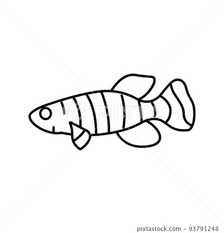 killifish aquarium fish line icon vector illustration killifish aquarium fish line icon vector illustration 93791248