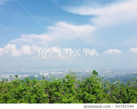 tree, city and sky 93791594