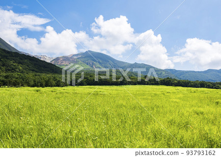Kuju Tadewara Wetlands in summer with vivid green grasslands Kuju Tadewara Wetlands in summer with vivid green grasslands 93793162