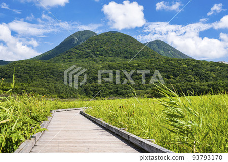 Kuju Tadewara Wetlands in summer with vivid green grasslands 93793170