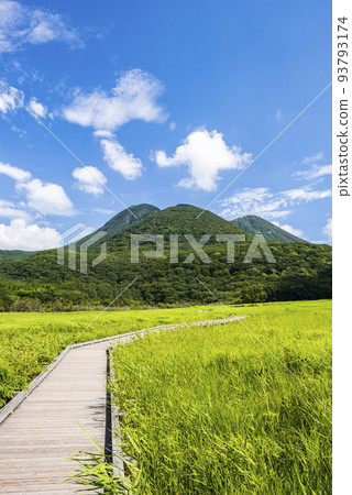 Kuju Tadewara Wetlands in summer with vivid green grasslands 93793174