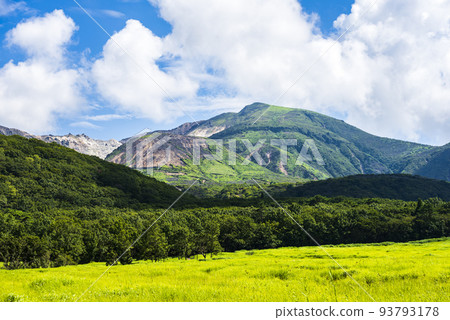 Kuju Tadewara Wetlands in summer with vivid green grasslands Kuju Tadewara Wetlands in summer with vivid green grasslands 93793178