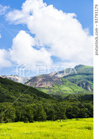 夏季的九重菅原濕原，綠草如茵 93793179