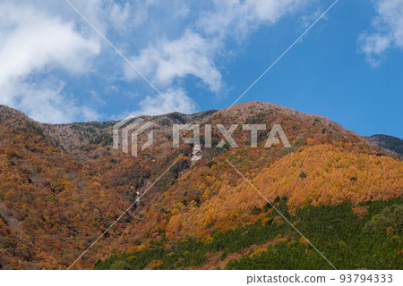 Beautiful mountain autumn leaves Beautiful mountain autumn leaves 93794333