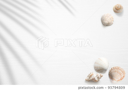 Summer scene with seashells and a palm shadow 93794809