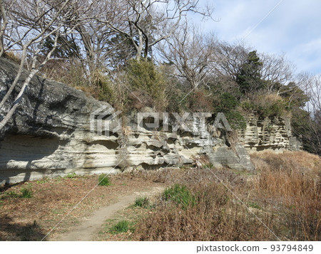 The important bank of Sarubatake in Zushi City 93794849