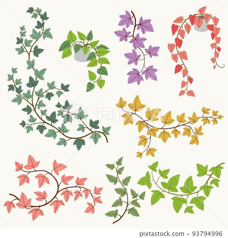 Simplicity ivy freehand drawing flat design collection. 93794996
