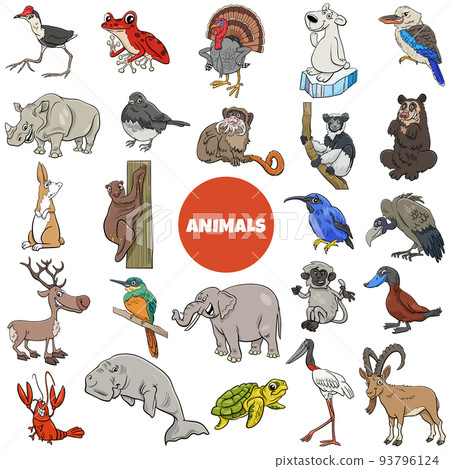 cartoon wild animal species characters big set cartoon wild animal species characters big set 93796124