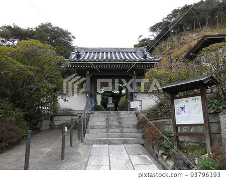 鎌倉市安養院（寺門附近） 93796193