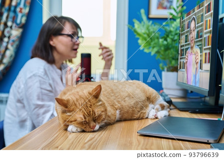 Cat sleeping on desk in home office, woman making video call Cat sleeping on desk in home office, woman making video call 93796639