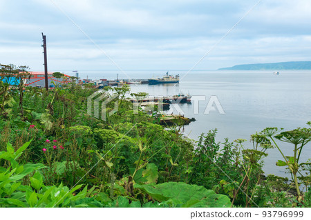 blurred view from a high bank to a small fishing port on the shore of an ocean bay, focus on the near grass blurred view from a high bank to a small fishing port on the shore of an ocean bay, focus on the near grass 93796999