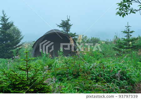 tourist tent among the vegetation in the foggy morning landscape tourist tent among the vegetation in the foggy morning landscape 93797339