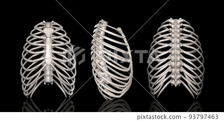 按胸部方向列出 按胸部方向列出 93797463