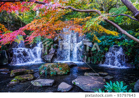 Autumn foliage on the waterfront Fuchu City Kyodonomori during the foliage season (Fuchu City, Tokyo) 93797643