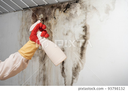 Man found mold on wall , in your residential building after renovation 93798132