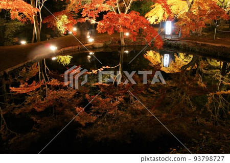 Upside-down autumn leaves of Sogi Park 93798727