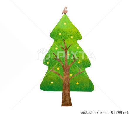 手繪北歐風格大雪松樹與黃色水果和貓頭鷹生態圖像的插圖白色背景材料 93799586