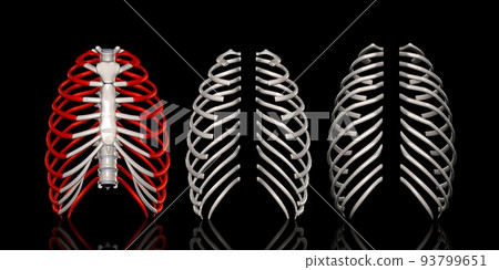 List by rib orientation 93799651