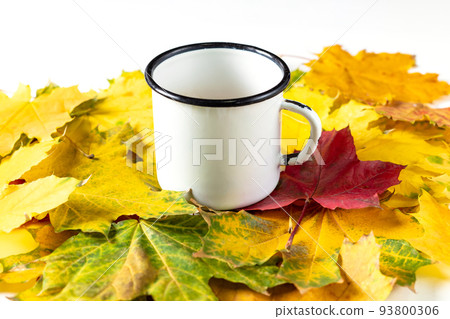 White cup with coffee or tea on colorful autumn leaves White cup with coffee or tea on colorful autumn leaves 93800306