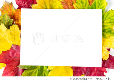 Colorful frame of fallen autumn leaves and a blank paper sheet. Flat lay, top view, copy space for your text Colorful frame of fallen autumn leaves and a blank paper sheet. Flat lay, top view, copy space for your text 93800310
