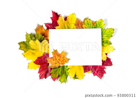 Colorful frame of fallen autumn leaves and a blank paper sheet. Flat lay, top view, copy space for your text Colorful frame of fallen autumn leaves and a blank paper sheet. Flat lay, top view, copy space for your text 93800311