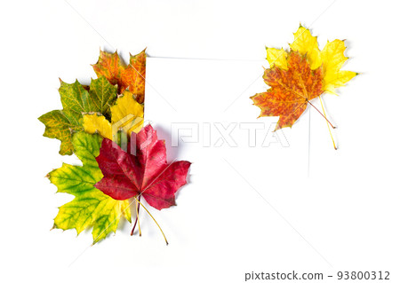 Colorful frame of fallen autumn leaves and a blank paper sheet. Flat lay, top view, copy space for your text Colorful frame of fallen autumn leaves and a blank paper sheet. Flat lay, top view, copy space for your text 93800312