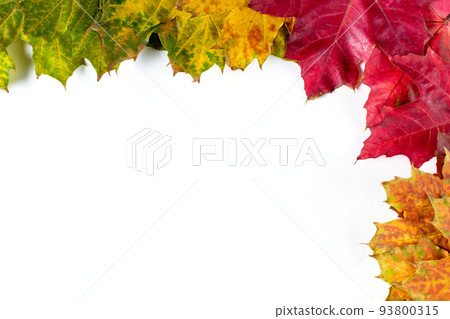 Border of Autumn bright colorful maple leaves on white. Top view with copy space 93800315